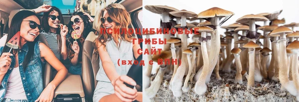 прущая мука Надым