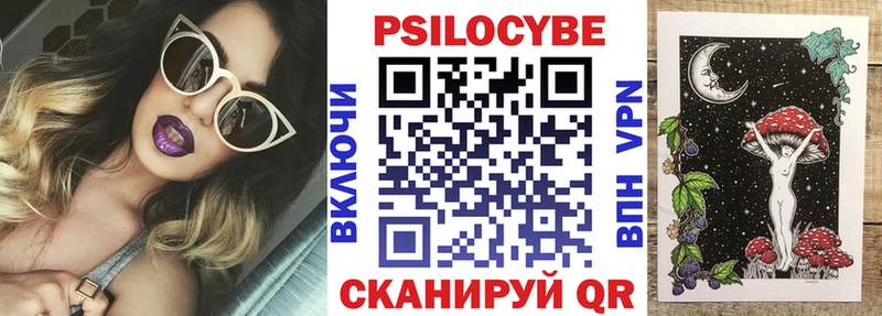 Псилоцибиновые грибы Cubensis  Купить где  Нижнекамск 